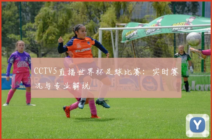 CCTV5直播世界杯足球比赛：实时赛况与专业解说