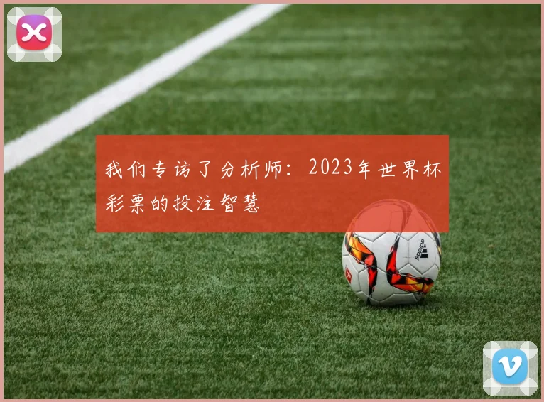 我们专访了分析师：2023年世界杯彩票的投注智慧