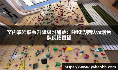 BB视讯平台