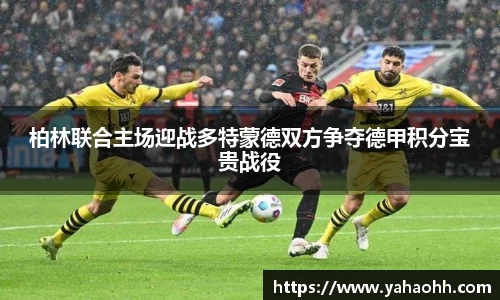 BB视讯首页